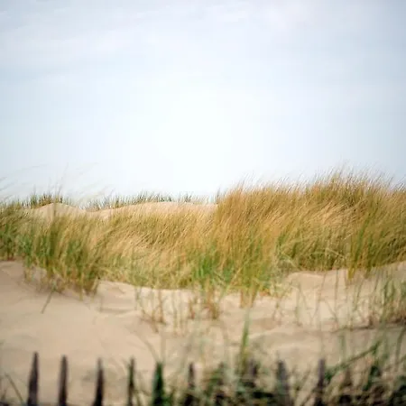 מלון Zorghotel De Kim