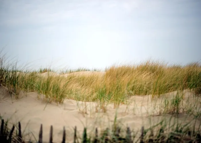 Szálloda Zorghotel De Kim